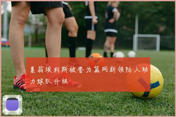 基翁埃利斯被誉为篮网新领防人助力球队升级